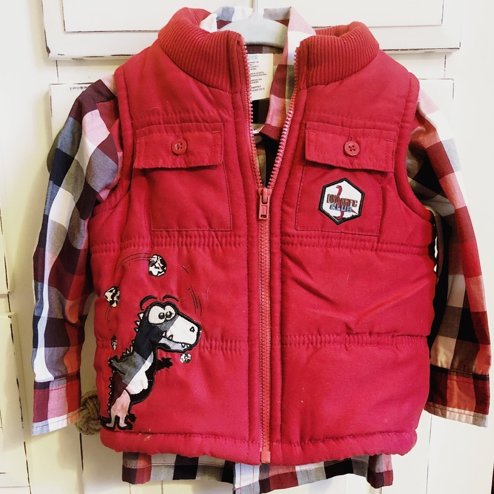 Button down shirt and vest set